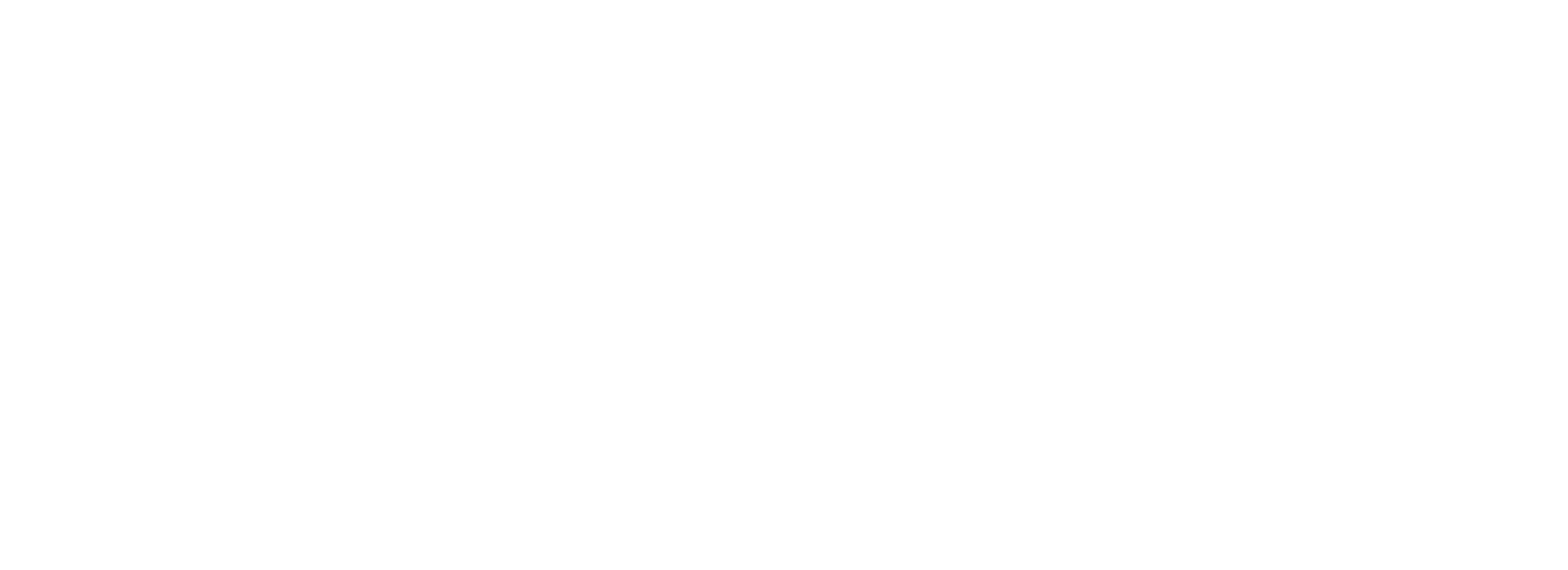 Luxury Partner Agency